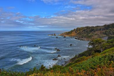 Sandee Patrick's Point State Park - Wedding Rock