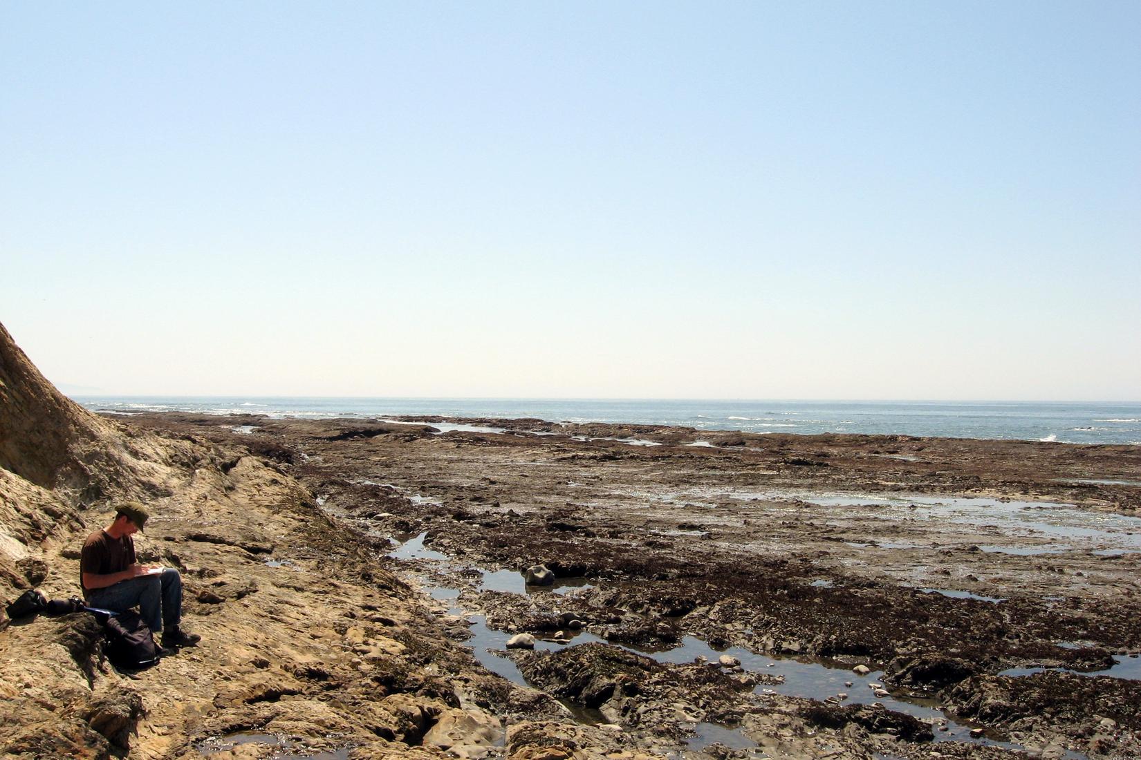 Sandee - HomePage / Bolinas