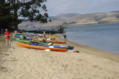 Sandee Fruit Tree Beach