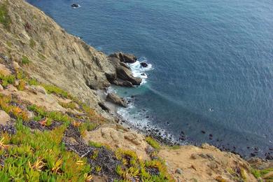 Sandee Long Cove Beach