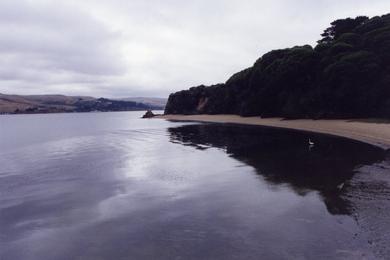Sandee Sacramento Landing Beach