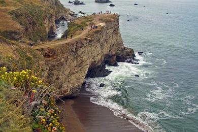 Sandee Arch Rock Beach
