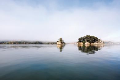 Sandee Duck Island