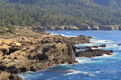 Sandee Point Lobos State Natural Reserve - Hidden Beach