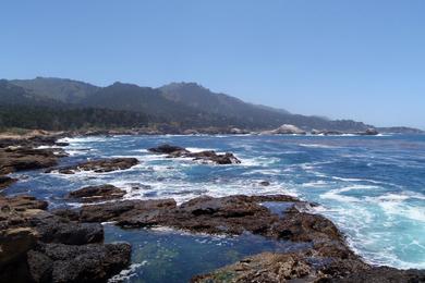 Sandee Point Lobos State Natural Reserve - Weston Beach