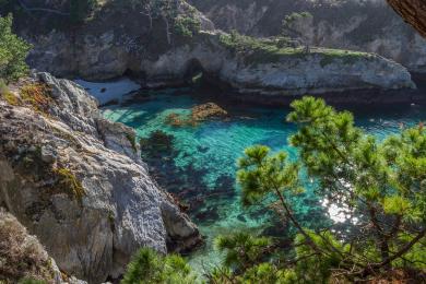 Sandee Point Lobos State Natural Reserve - China Cove