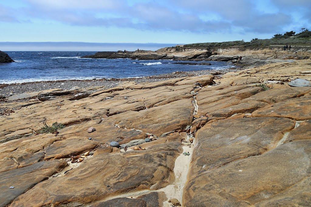 Sandee - HomePage / Carmel Highlands