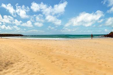 Sandee Little Bondi Beach