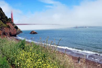 Sandee Kirby Cove Beach