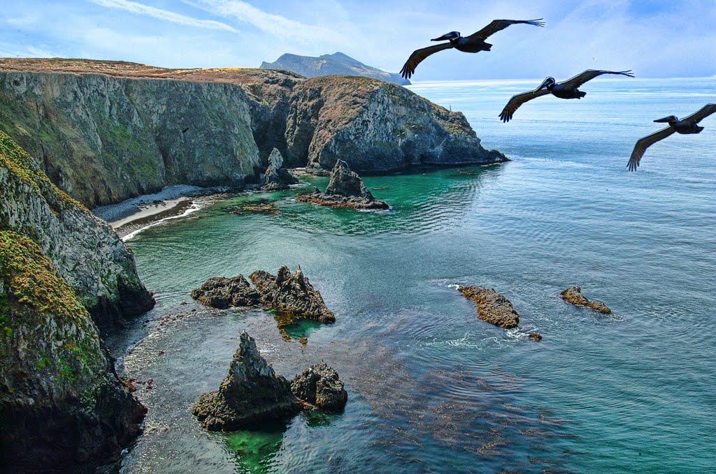 Sandee Anacapa Island - Frenchy's Cove