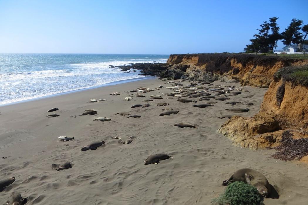 Sandee Arroyo Del Corral Beach