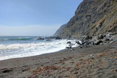 Sandee Ragged Point Beach