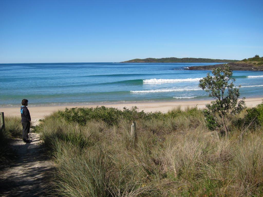 Sandee - HomePage / Bawley Point