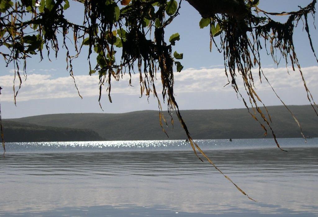 Sandee Drakes Estero Beach