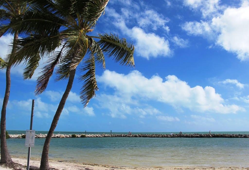 Sandee Harry Harris Beach Park