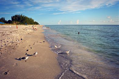 Sandee Captiva Beach