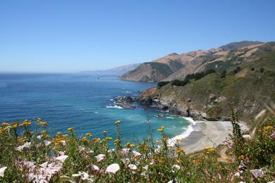 Sandee Wreck Beach