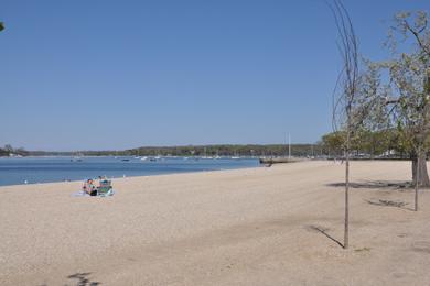 Sandee Theodore Roosevelt Beach