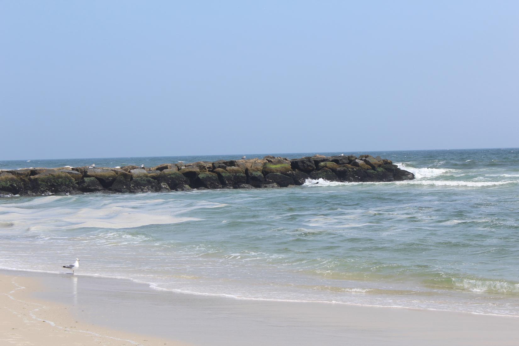 Sandee - HomePage / Lido Beach