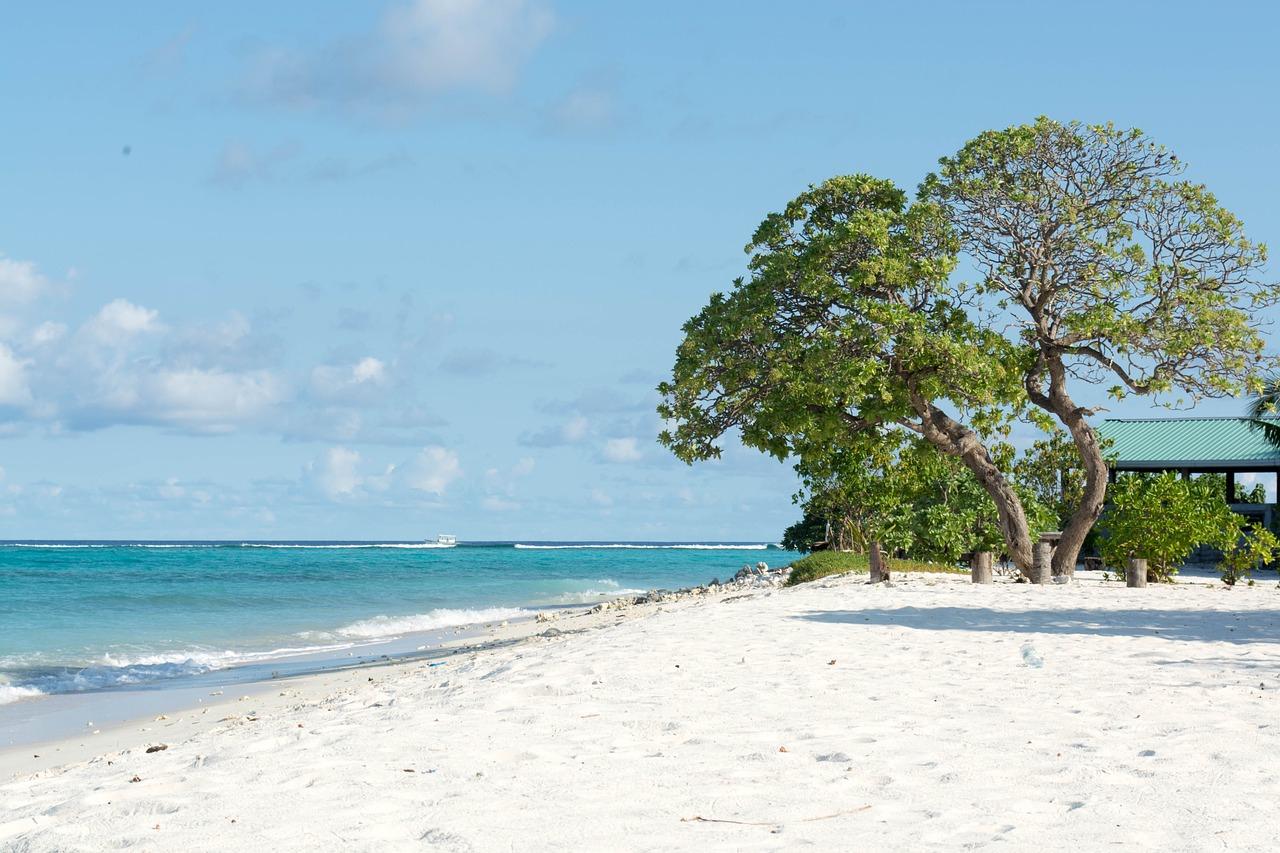 Sandee - HomePage / Dharavandhoo