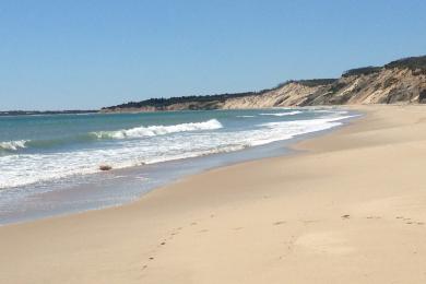 Sandee Lucy Vincent Beach