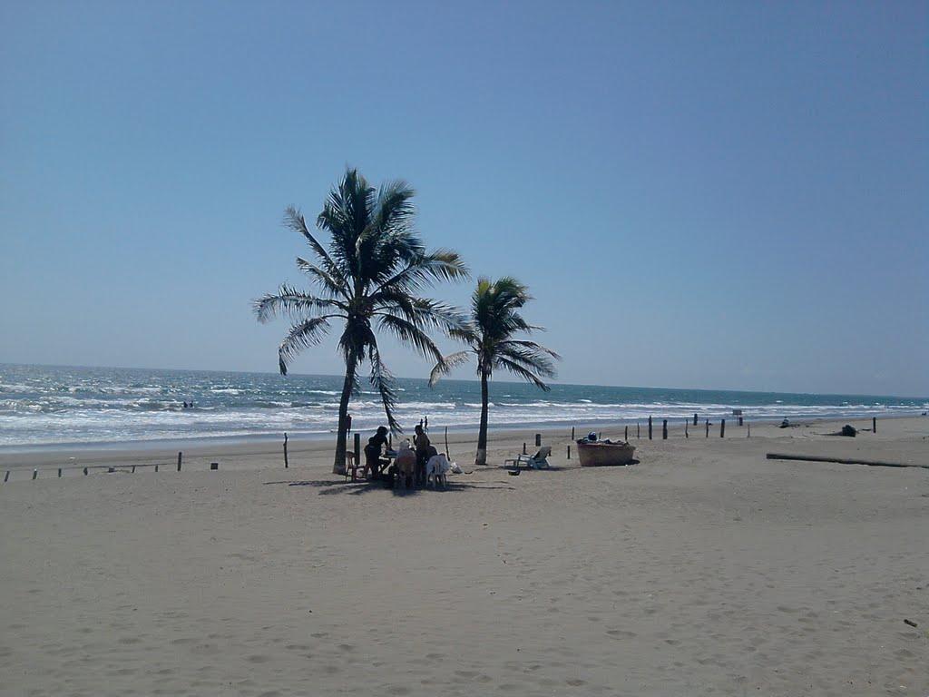Sandee