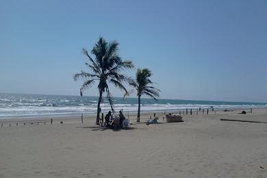Sandee