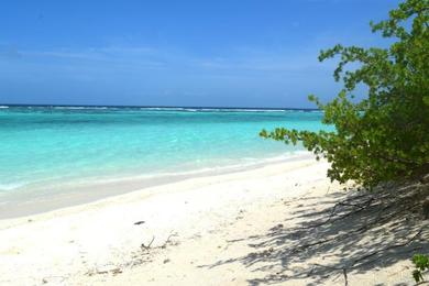 Sandee Vaikaradhoo