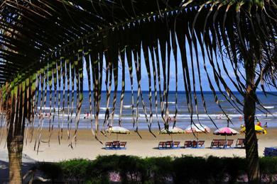 Sandee Tongxiao Marine Beach