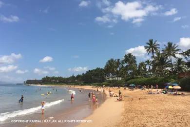 Sandee Keawakapu Beach