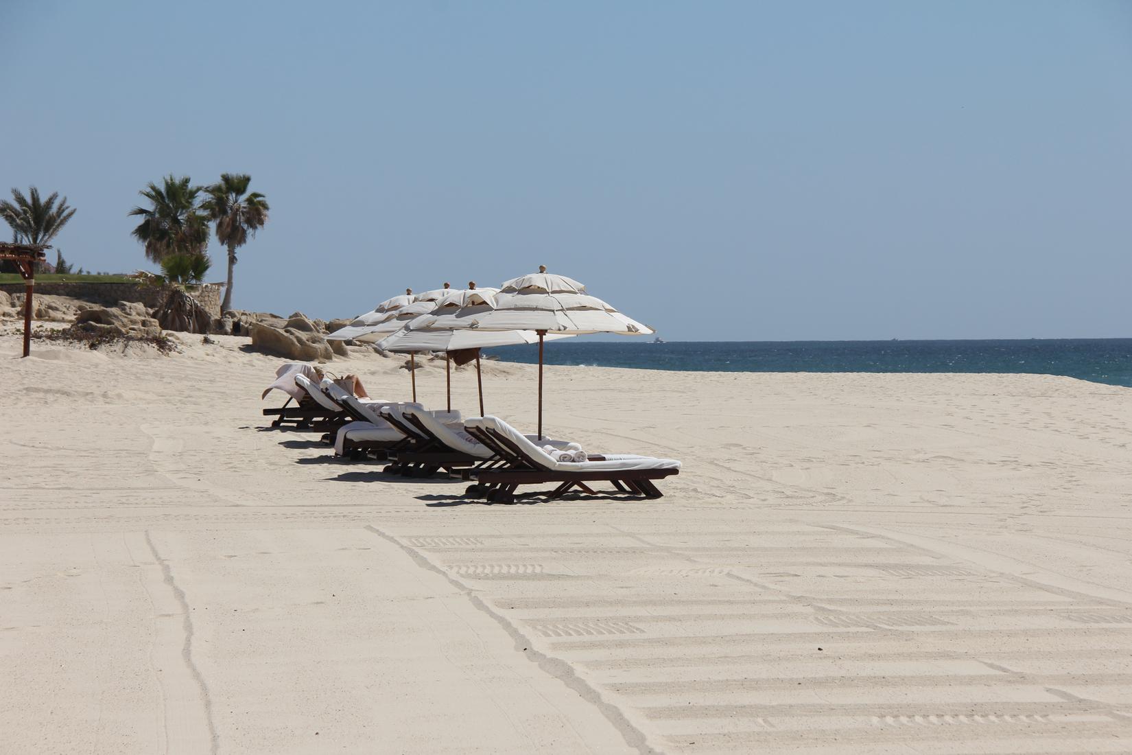 Sandee - HomePage / Palmilla
