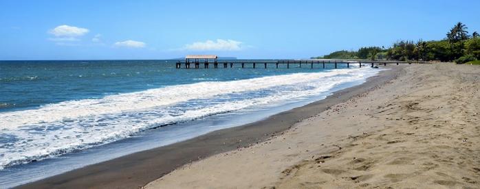 Sandee Waimea Beach