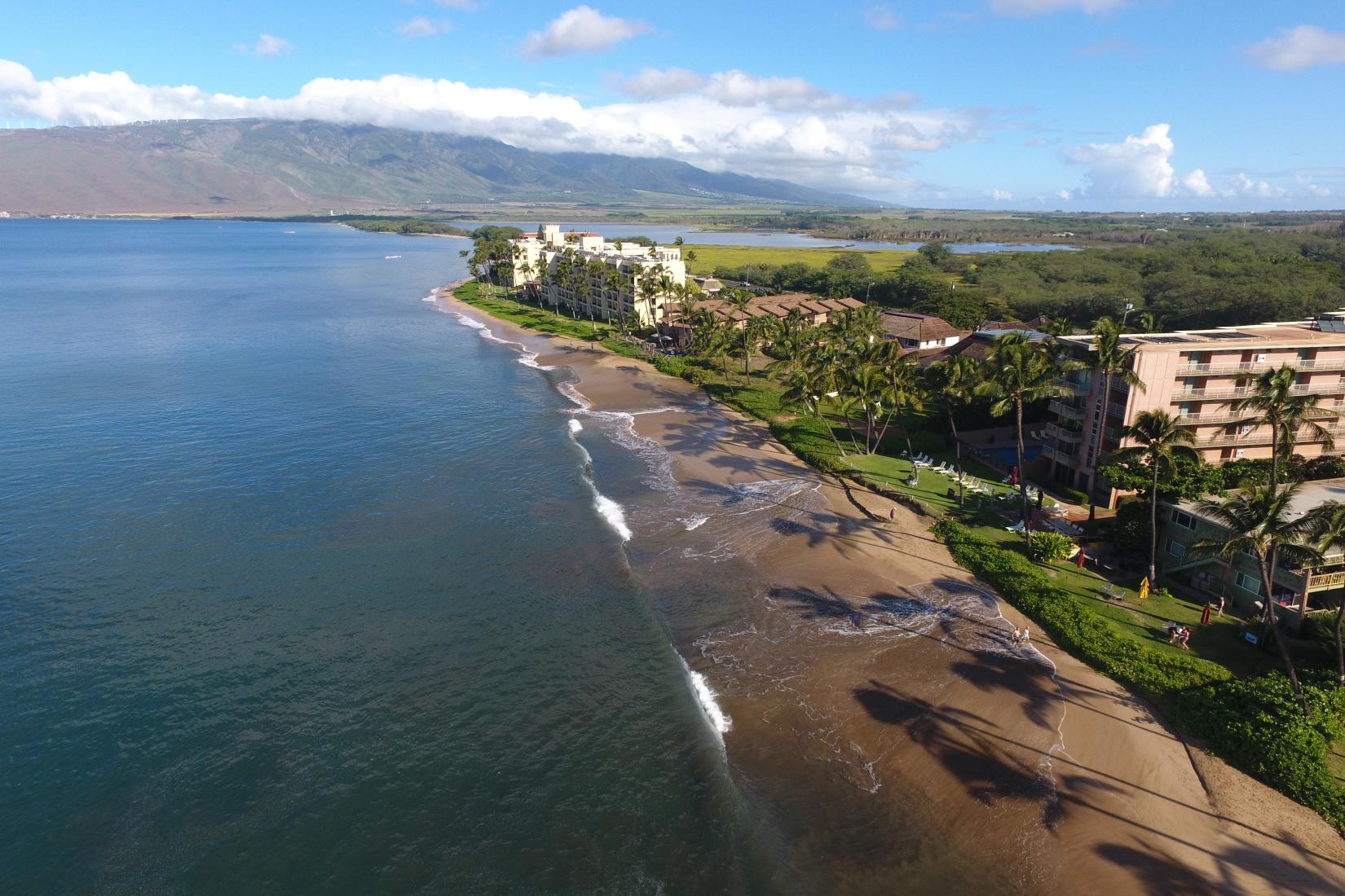 Sandee - HomePage / Kihei