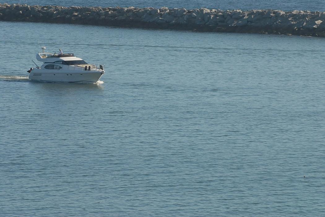 Sandee Newport Harbor Patrol Beach