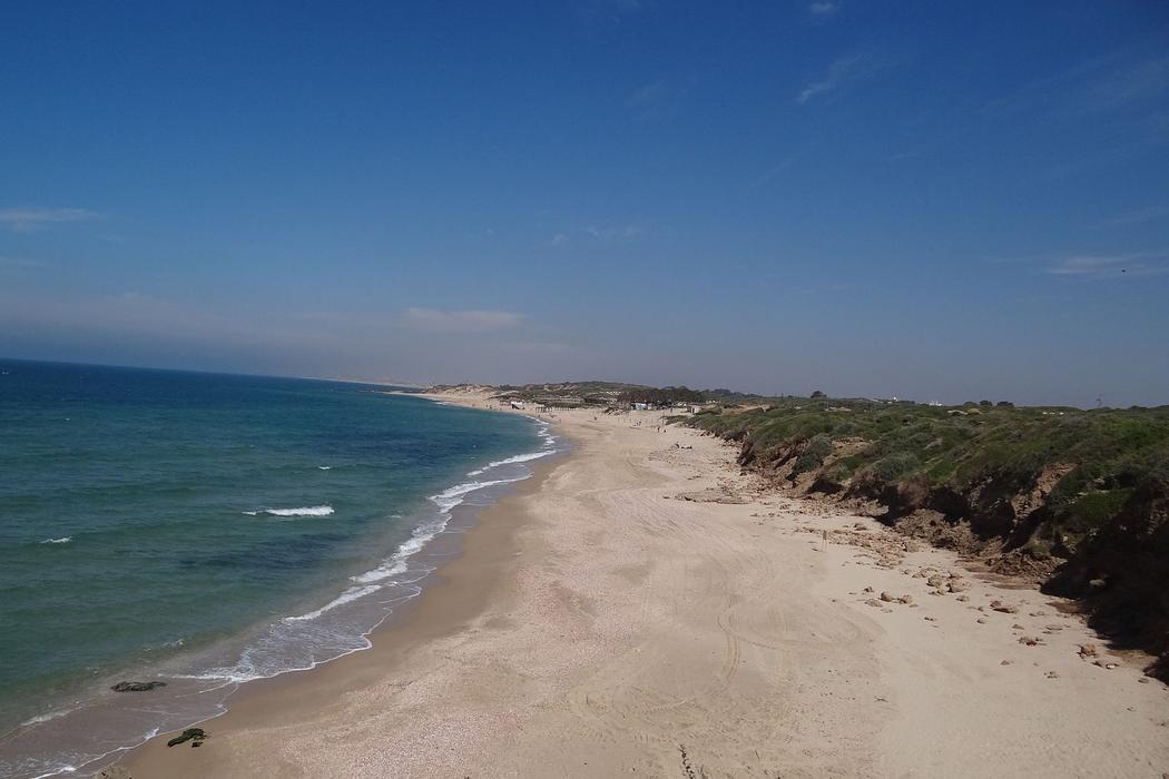 Sandee Palmachim Beach