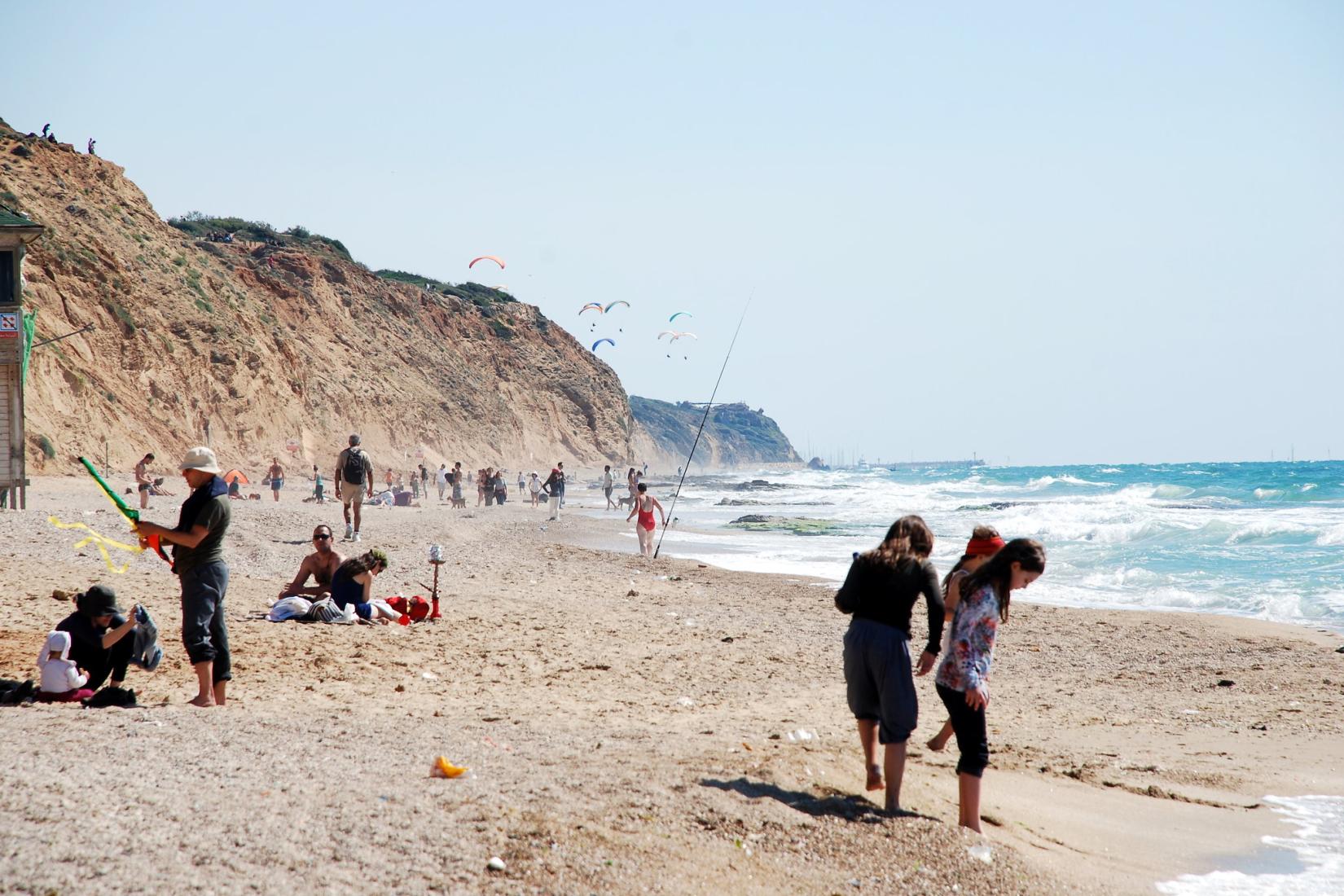 Sandee - HomePage / Hof Hasharon Regional Council