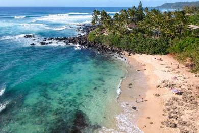 Sandee Laniakea Beach
