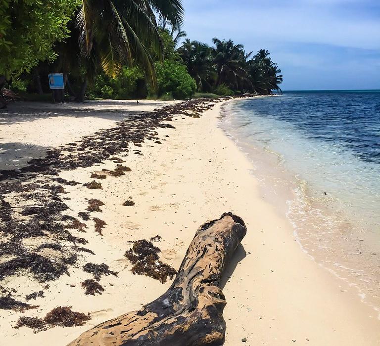 Sandee Half Moon Caye