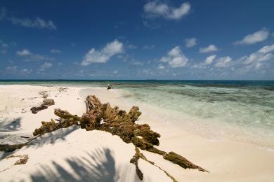Sandee Gladden Spit And Silk Cayes