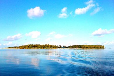 Sandee Rinbudhoo