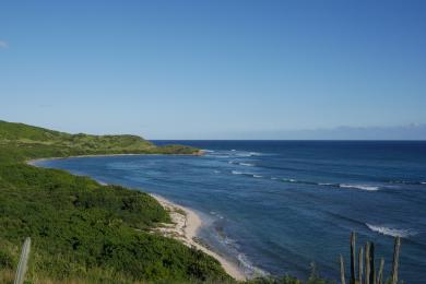 Sandee Jack Bay