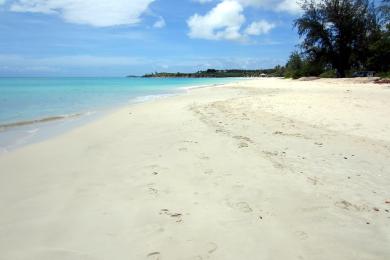 Sandee Fort James Beach