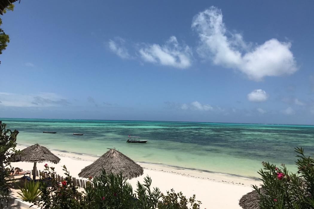 Sandee Jambiani Beach