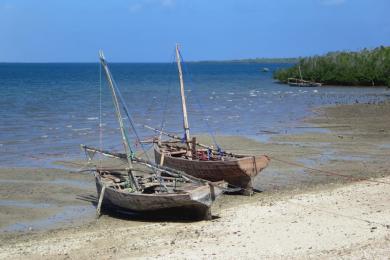 Sandee Jimbizi Beach