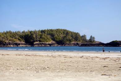 Sandee Chesterman Beach