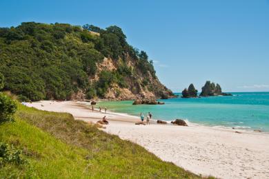 Sandee Kuaotunu Beach