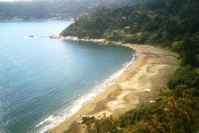 Sandee Playa Los Enamorados