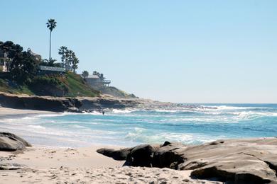 Sandee Windansea Beach