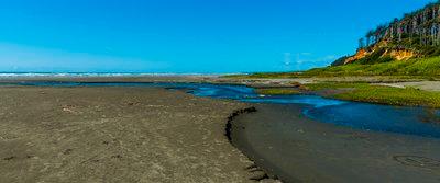 Sandee - HomePage / Copalis Beach