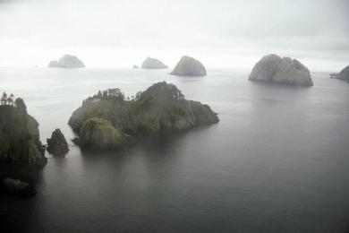 Sandee Chiswell Islands